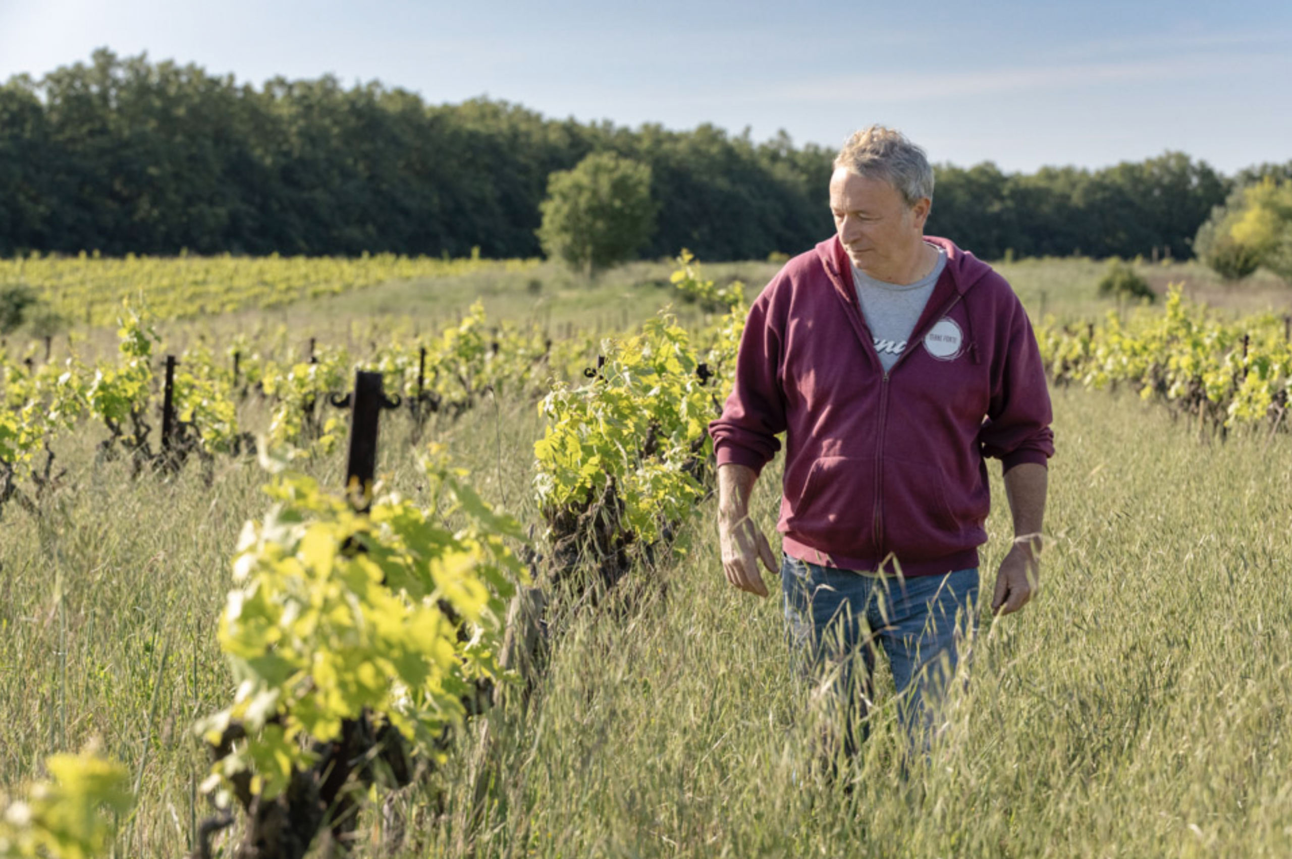 PIERRE VIGNE Pierre Jauffret Dans ses vignes en agriculture biologique et biodynamique